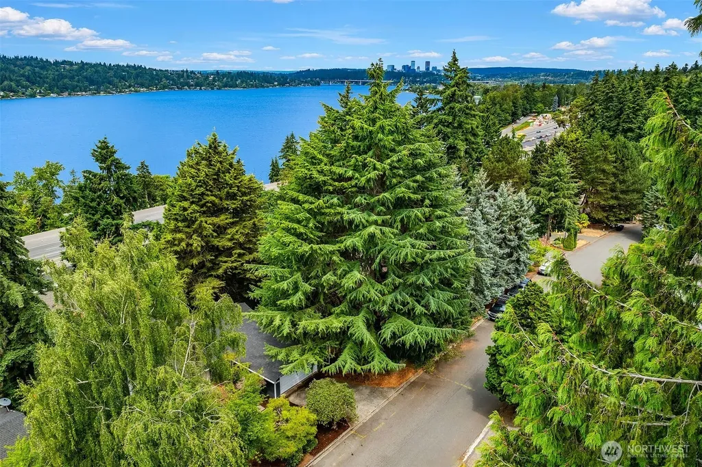 5761 110th Ave SE Bellevue WA 98006