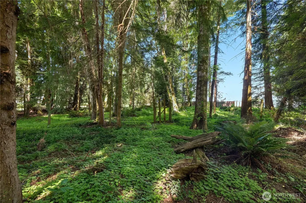 2723 Woodgrove Street SE Olympia WA 98513