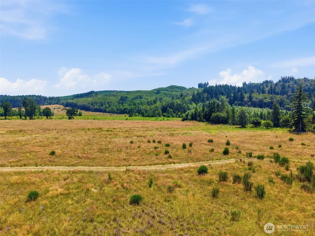 0 Maw Road Toledo WA 98591