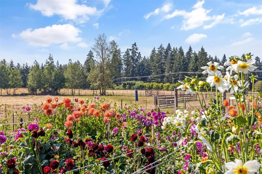 816 304th Street S Roy WA 98580