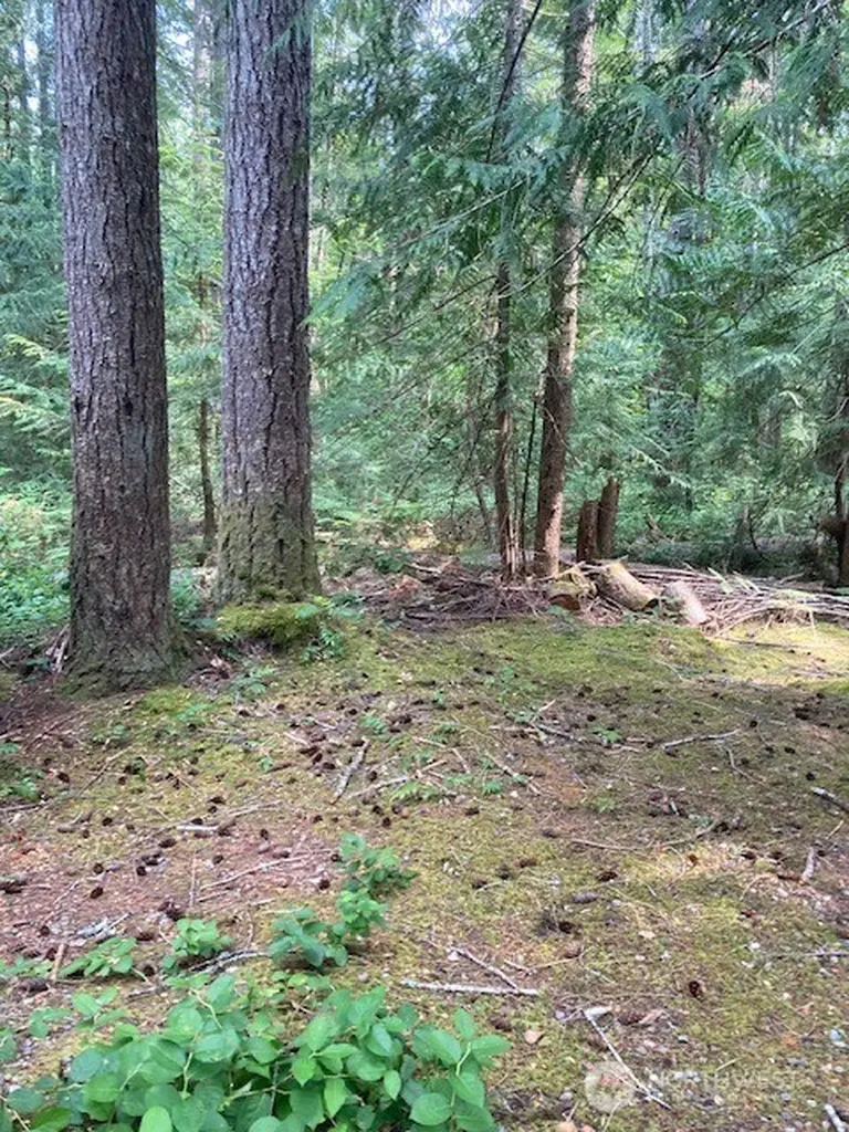 41 N Kitsap Place S Hoodsport WA 98548