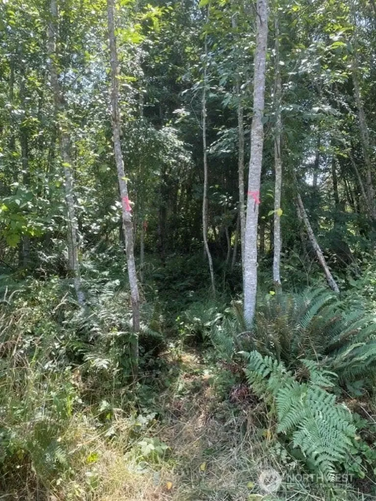 646 Tributary Lane Port Angeles WA 98362