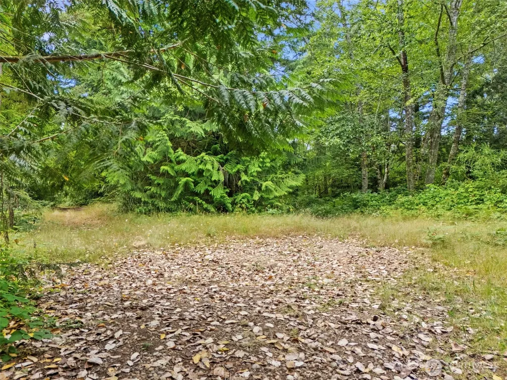 0 Rouse Road SW Longbranch WA 98351