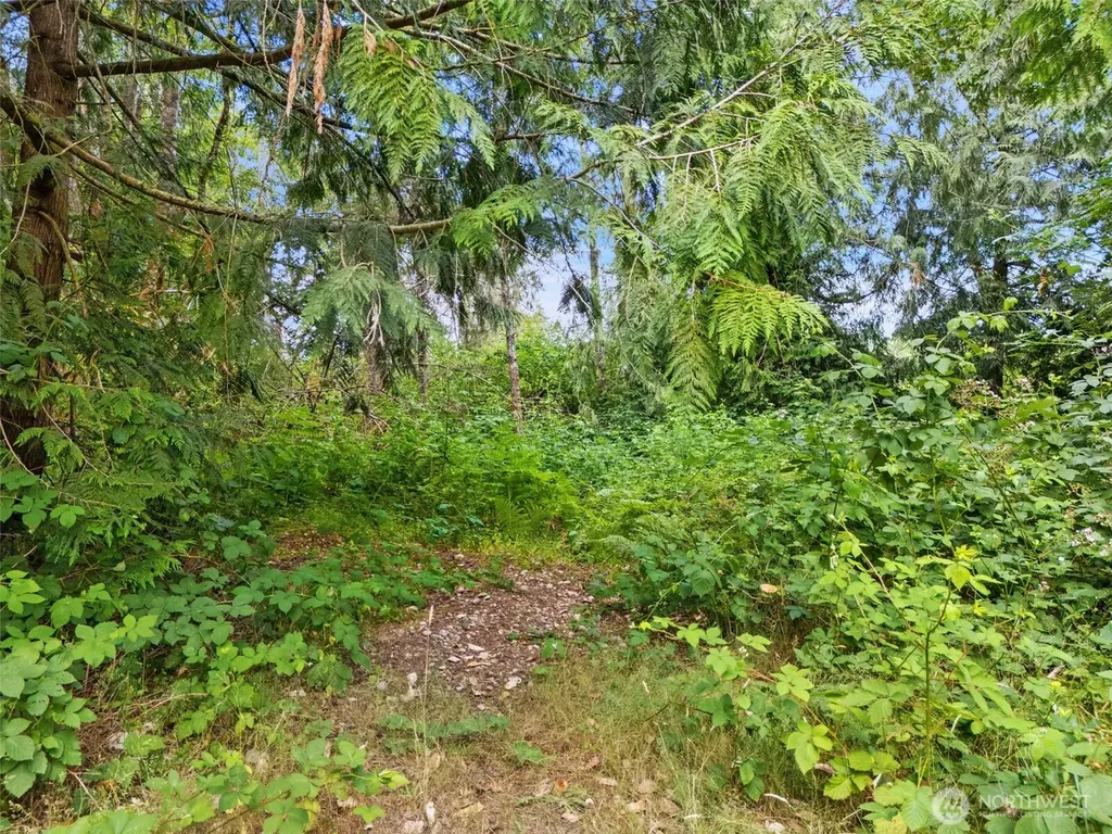 0 Rouse Road SW Longbranch WA 98351
