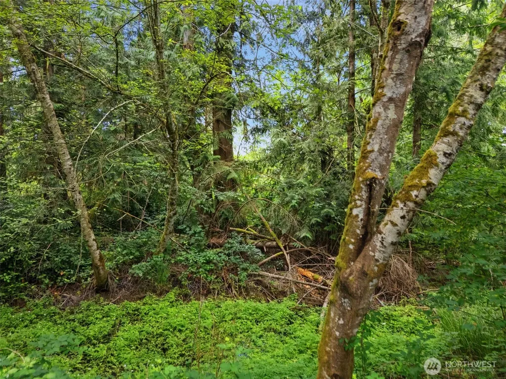 0 Rouse Road SW Longbranch WA 98351