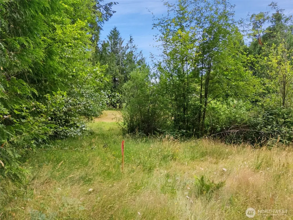 0 Rouse Road SW Longbranch WA 98351
