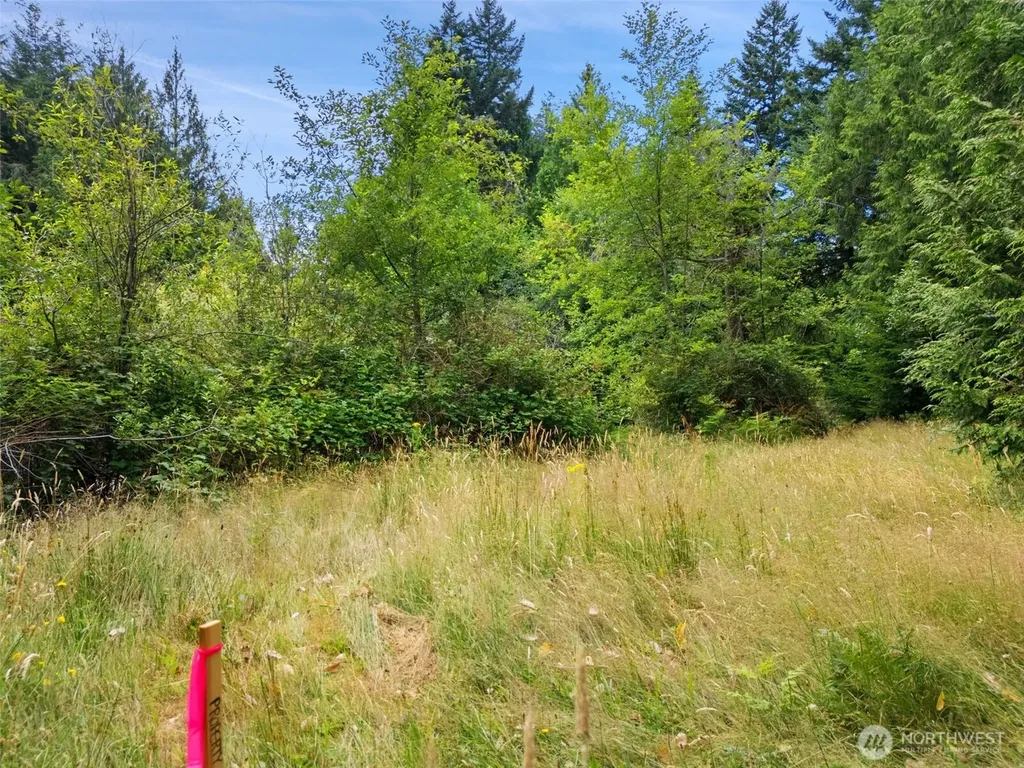 0 Rouse Road SW Longbranch WA 98351