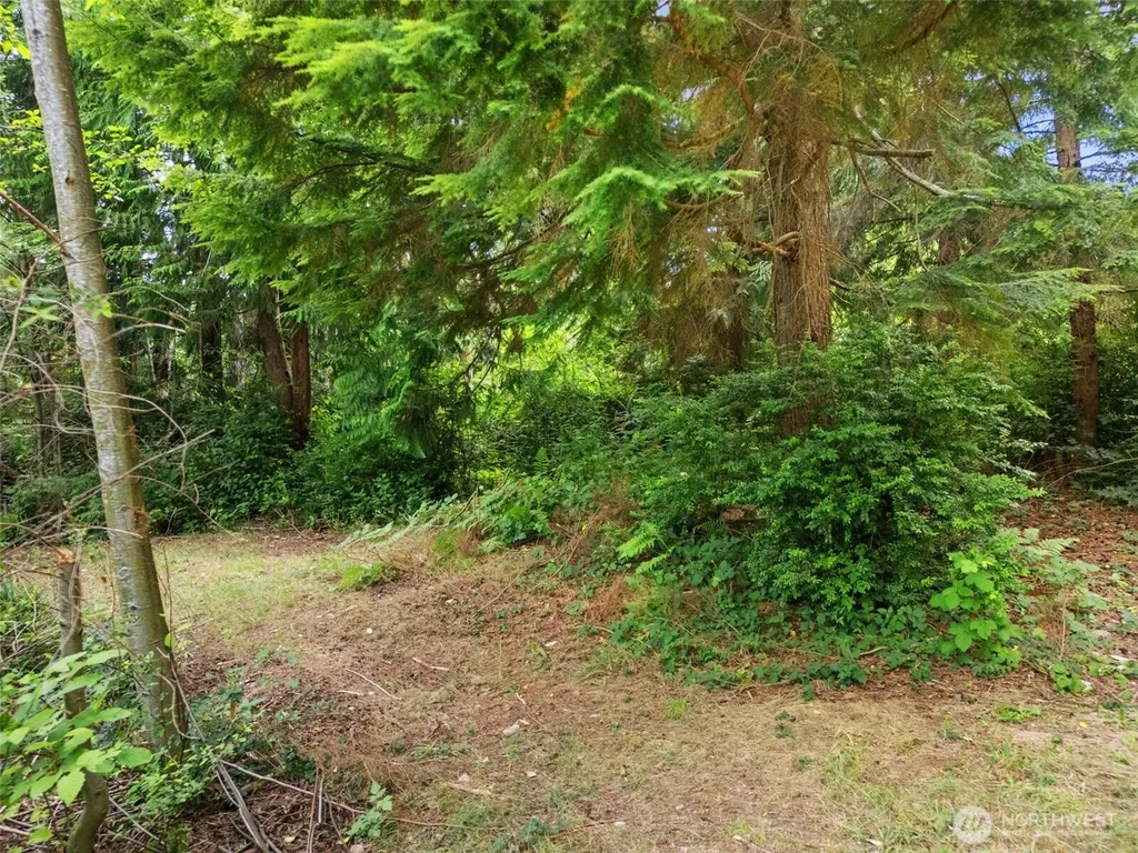0 Rouse Road SW Longbranch WA 98351