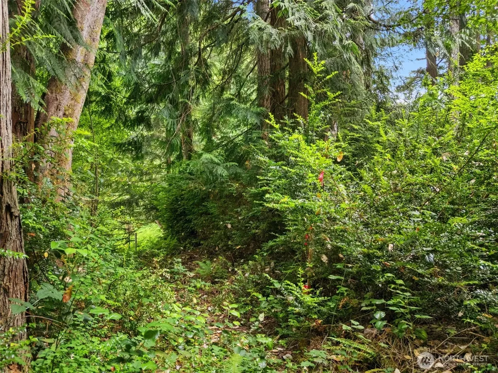 0 Rouse Road SW Longbranch WA 98351