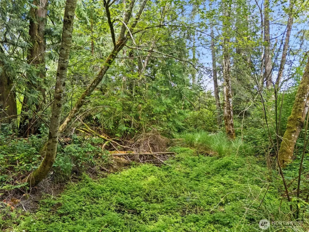 0 Rouse Road SW Longbranch WA 98351