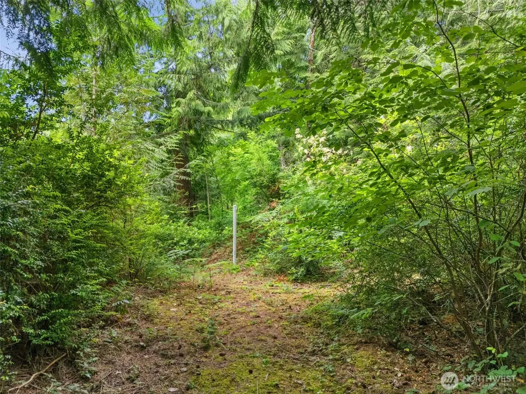 0 Rouse Road SW Longbranch WA 98351