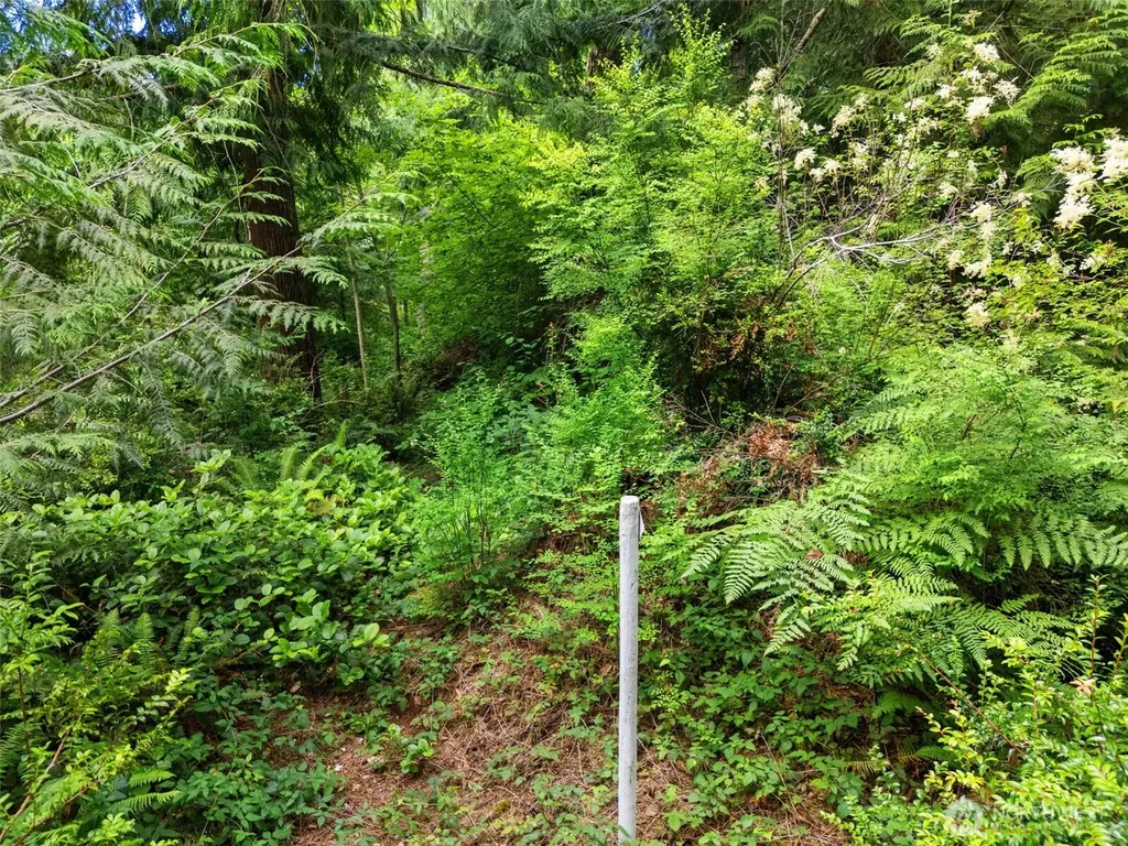 0 Rouse Road SW Longbranch WA 98351