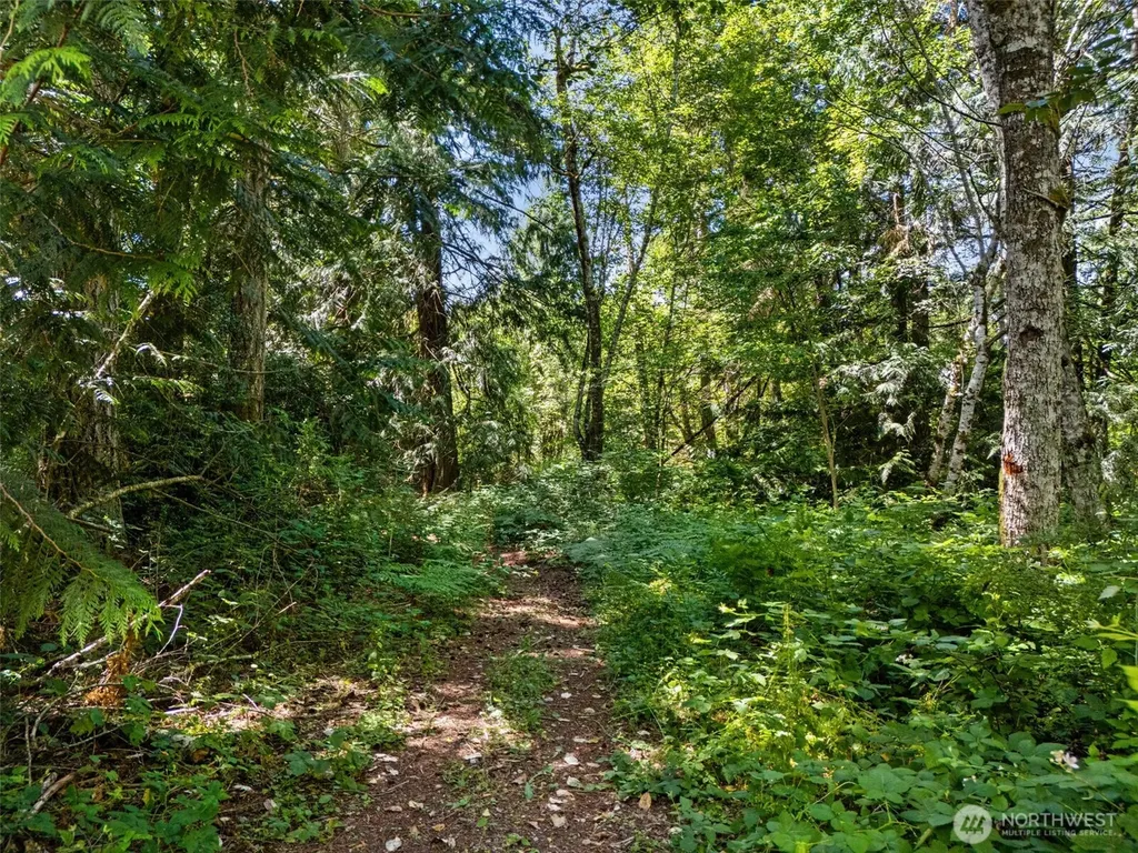 0 Rouse Road SW Longbranch WA 98351