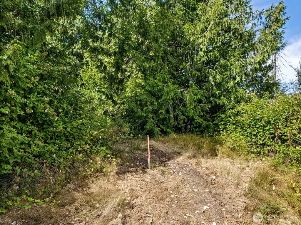 0 Rouse Road SW Longbranch WA 98351