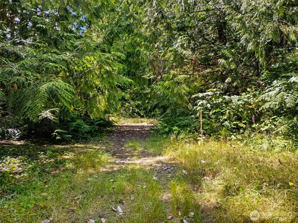 0 Rouse Road SW Longbranch WA 98351