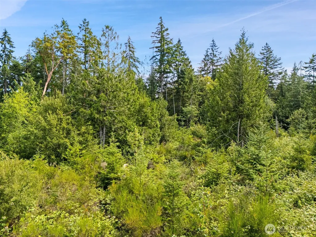 0 Rouse Road SW Longbranch WA 98351