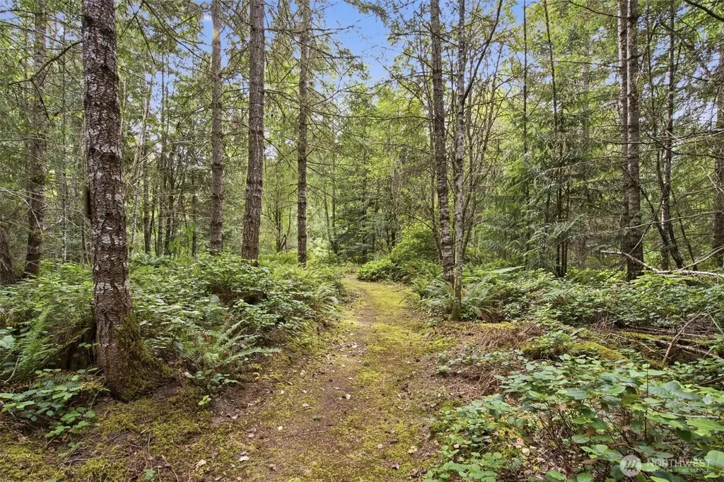 114 Headwaters Lane Port Angeles WA 98362