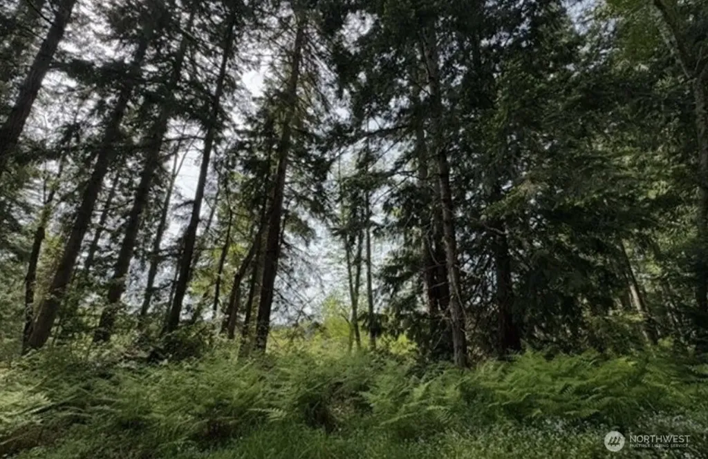 11106 Spruce Drive Anderson Island WA 98303