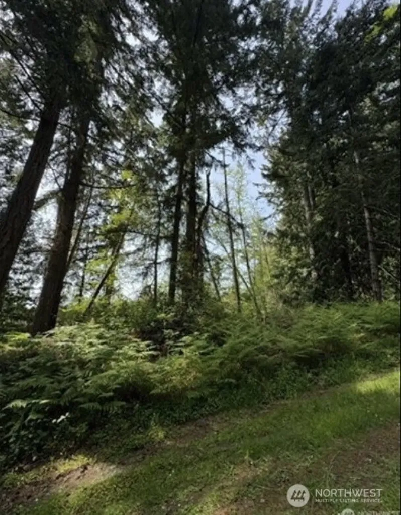 11106 Spruce Drive Anderson Island WA 98303