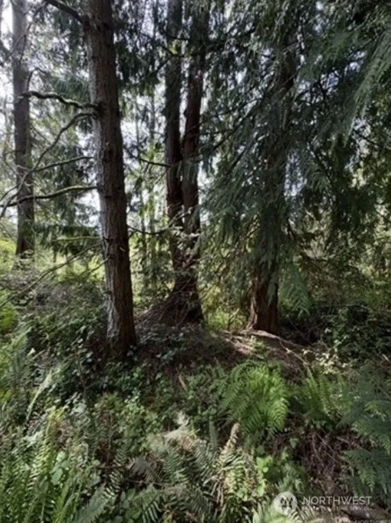 11106 Spruce Drive Anderson Island WA 98303