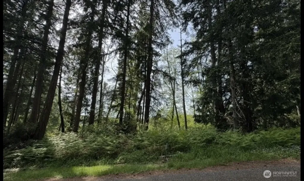 11106 Spruce Drive Anderson Island WA 98303