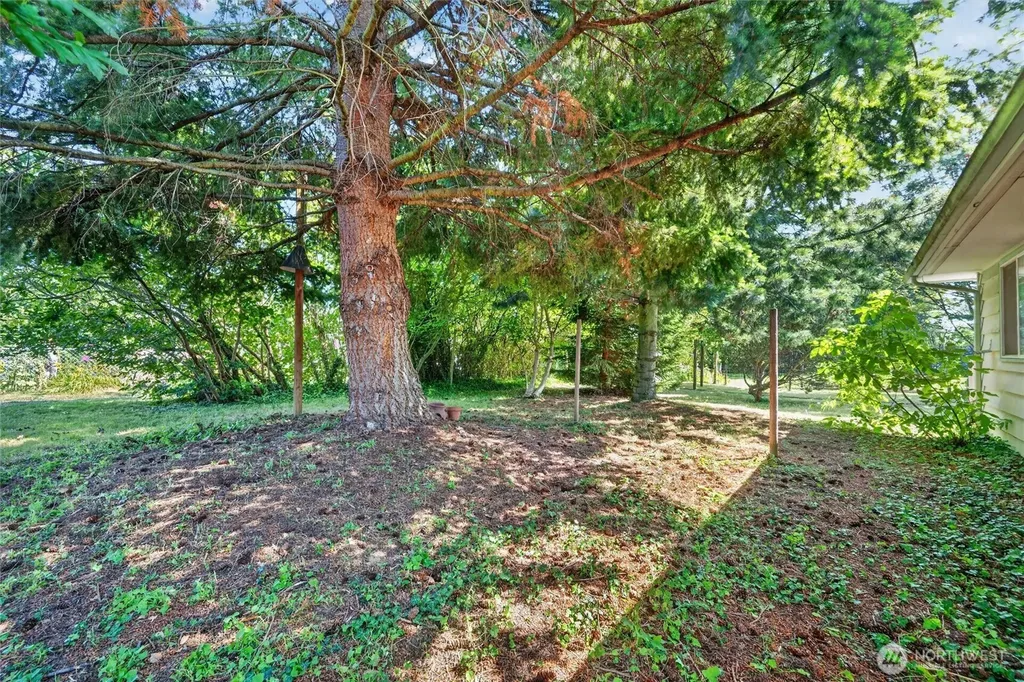 3014 Lynn Street Bellingham WA 98225
