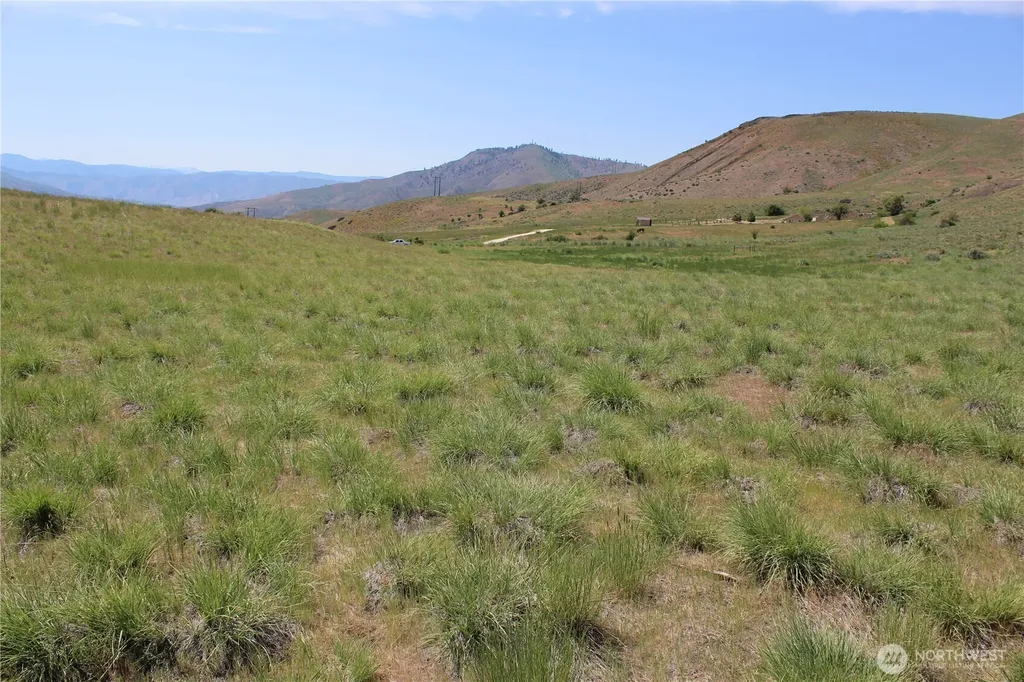 5 Combine Road Orondo WA 98843
