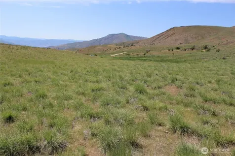 5 Combine Road Orondo WA 98843