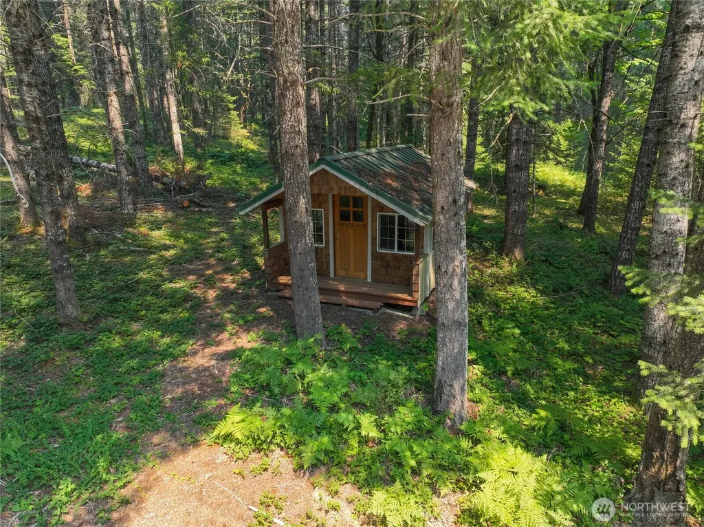 0 Marmot Loop Packwood WA 98361