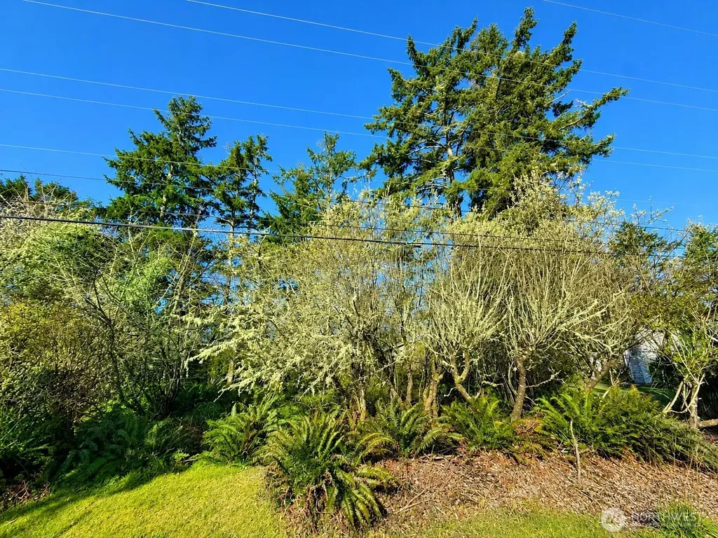 375 Dolphin Avenue NE Ocean Shores WA 98569