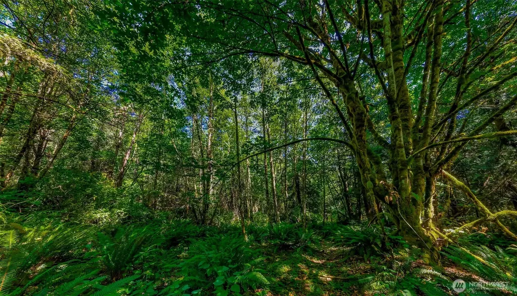 8679 NE Fox Den Lane Bainbridge Island WA 98110