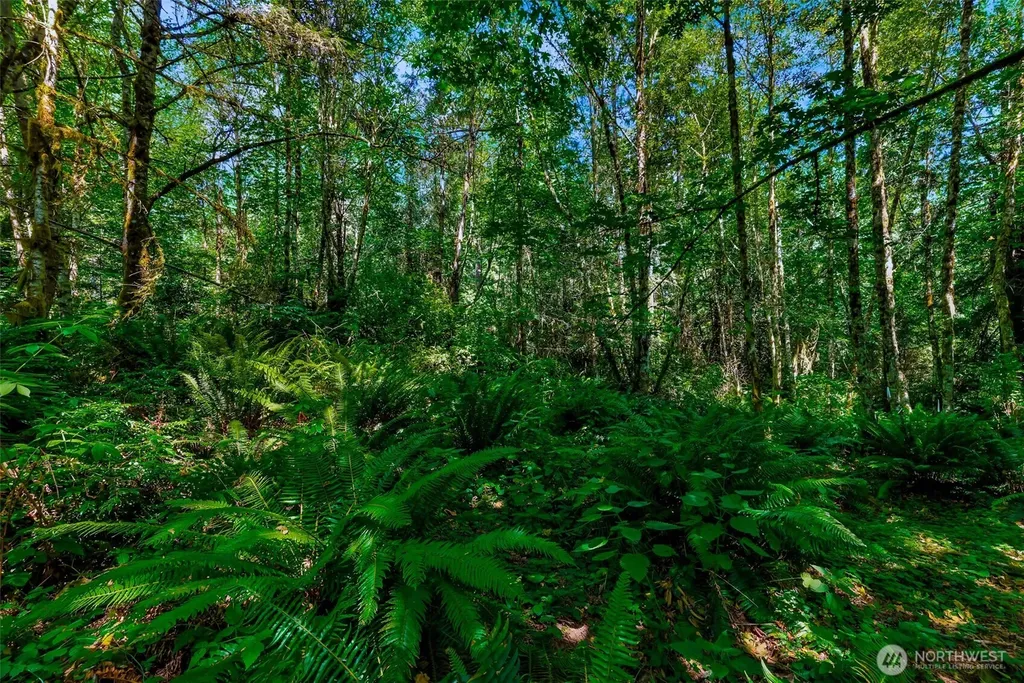 8679 NE Fox Den Lane Bainbridge Island WA 98110