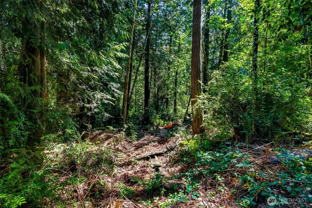 8679 NE Fox Den Lane Bainbridge Island WA 98110