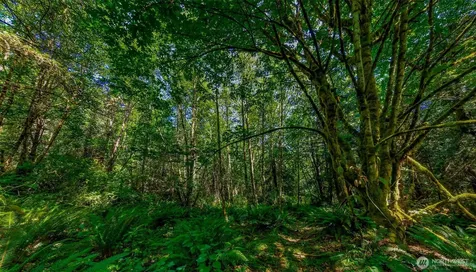 8679 NE Fox Den Lane Bainbridge Island WA 98110