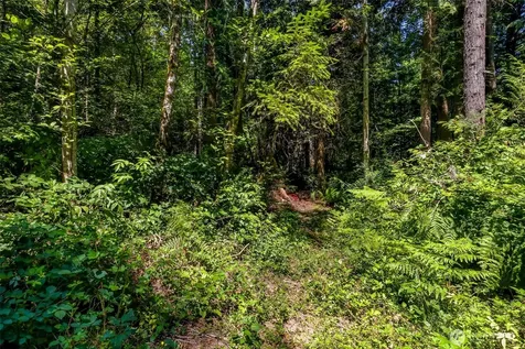 8679 NE Fox Den Lane Bainbridge Island WA 98110