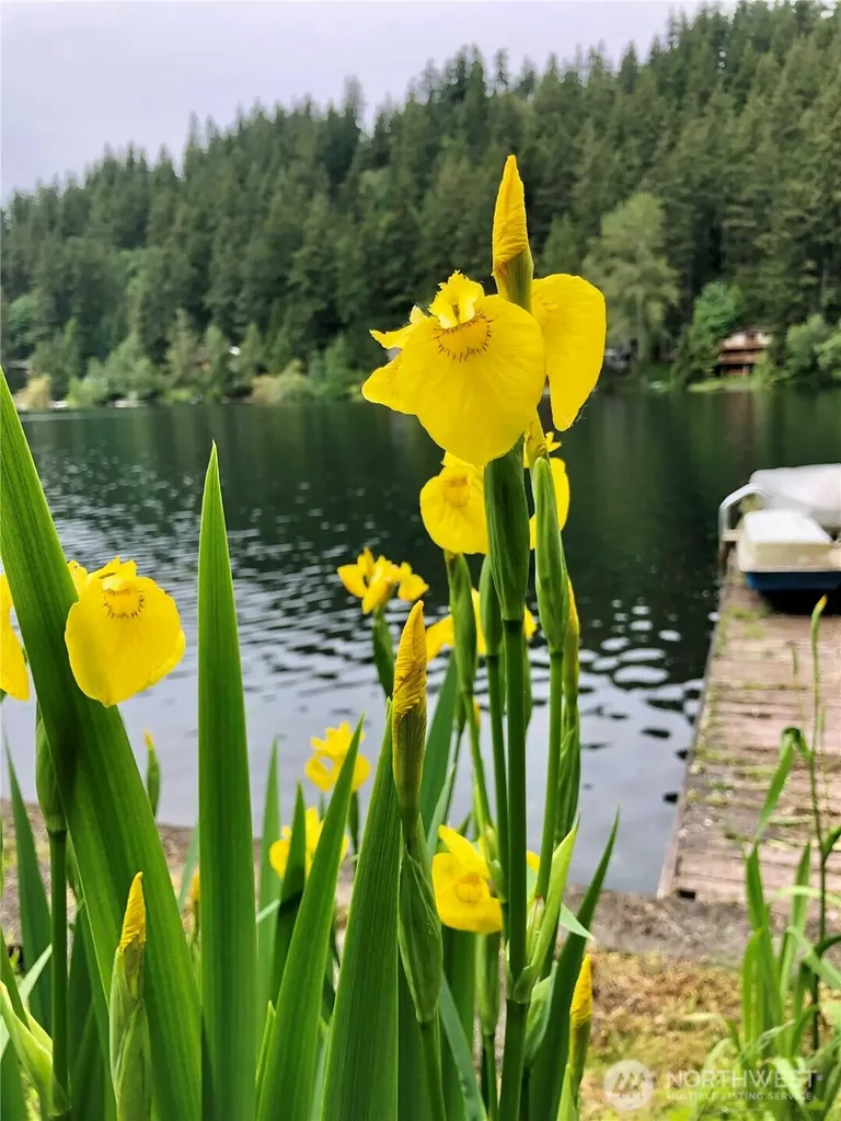 1817 Sleepy Hollow Lane Bellingham WA 98226