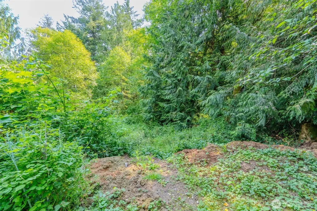 7929 S Lake Ketchum Road Stanwood WA 98292
