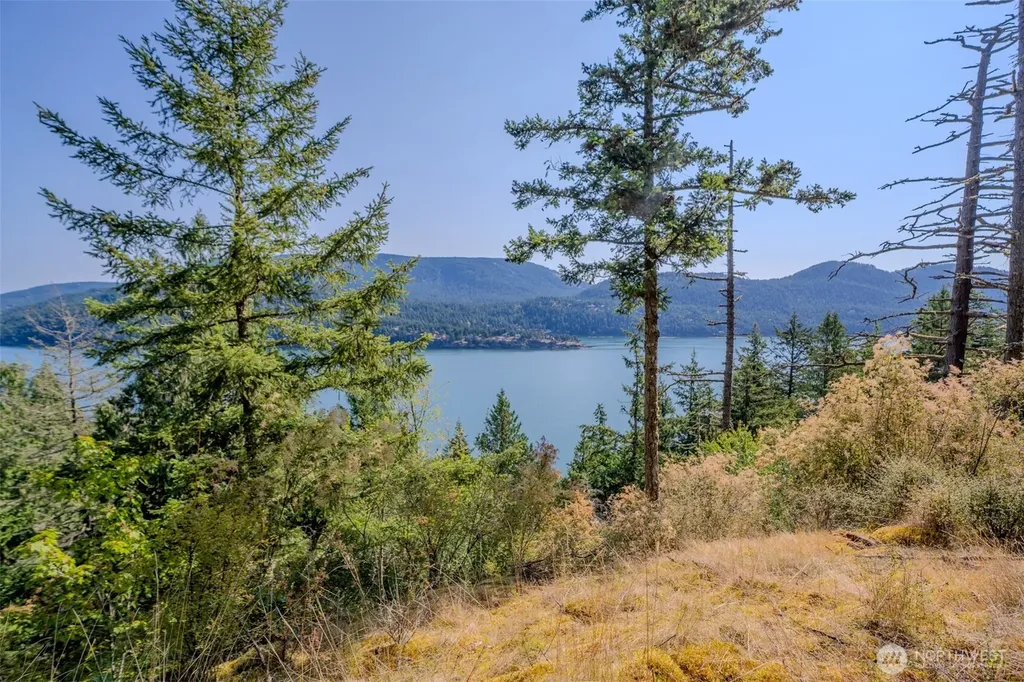 37 Silvermoon Lane Orcas Island WA 98280