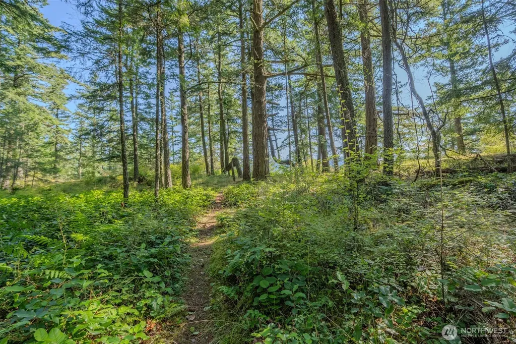 37 Silvermoon Lane Orcas Island WA 98280