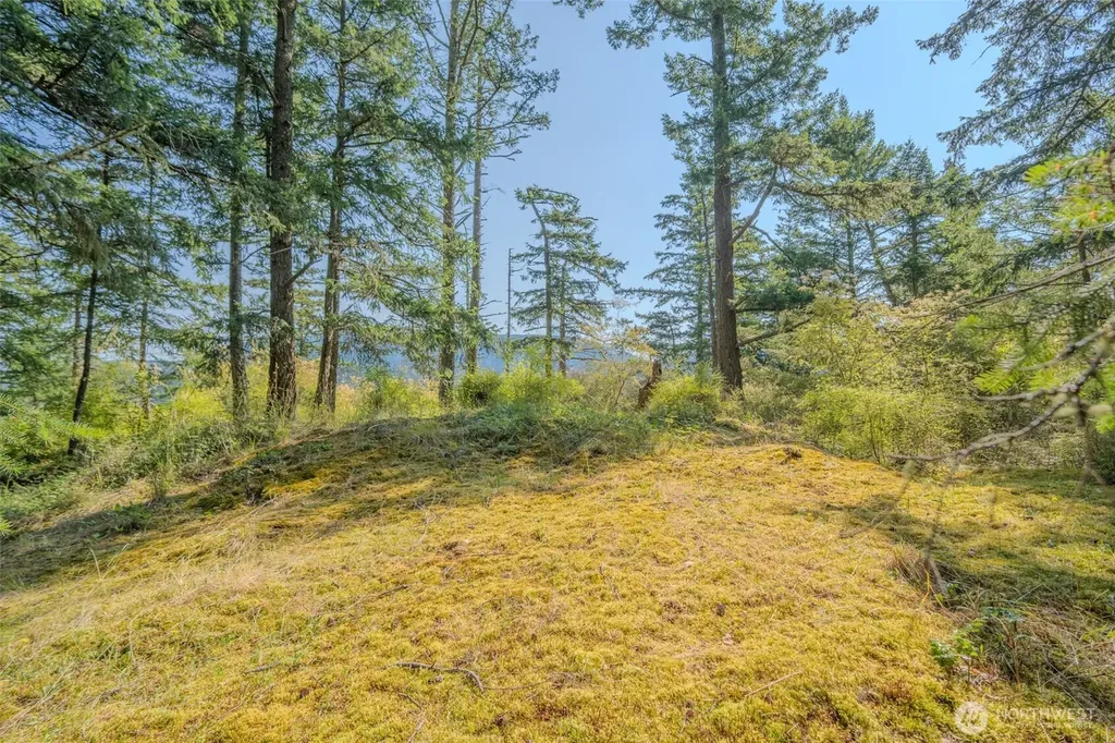 37 Silvermoon Lane Orcas Island WA 98280