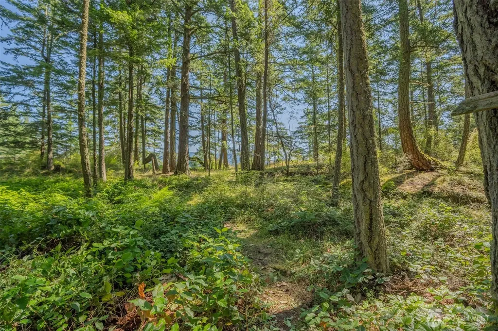 37 Silvermoon Lane Orcas Island WA 98280