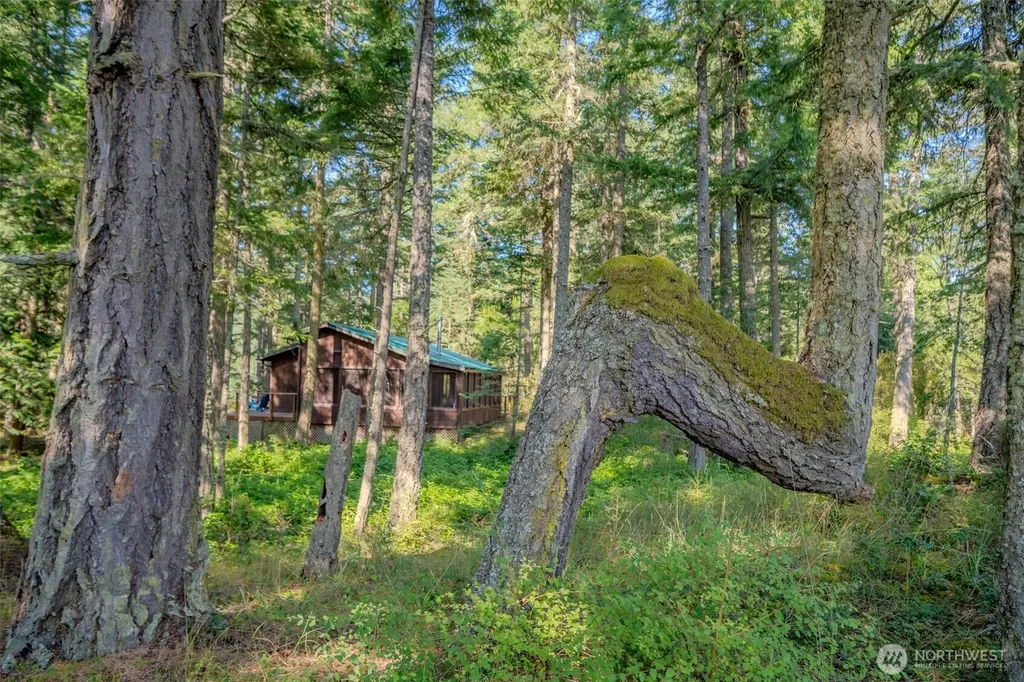 37 Silvermoon Lane Orcas Island WA 98280