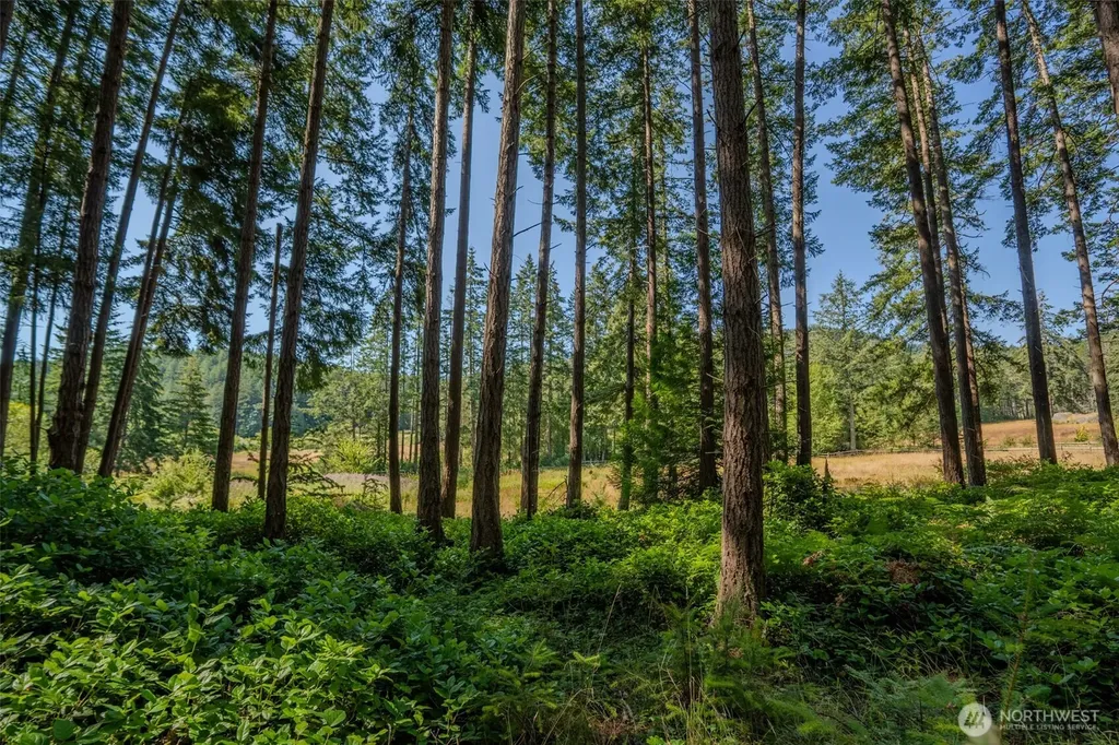 37 Silvermoon Lane Orcas Island WA 98280