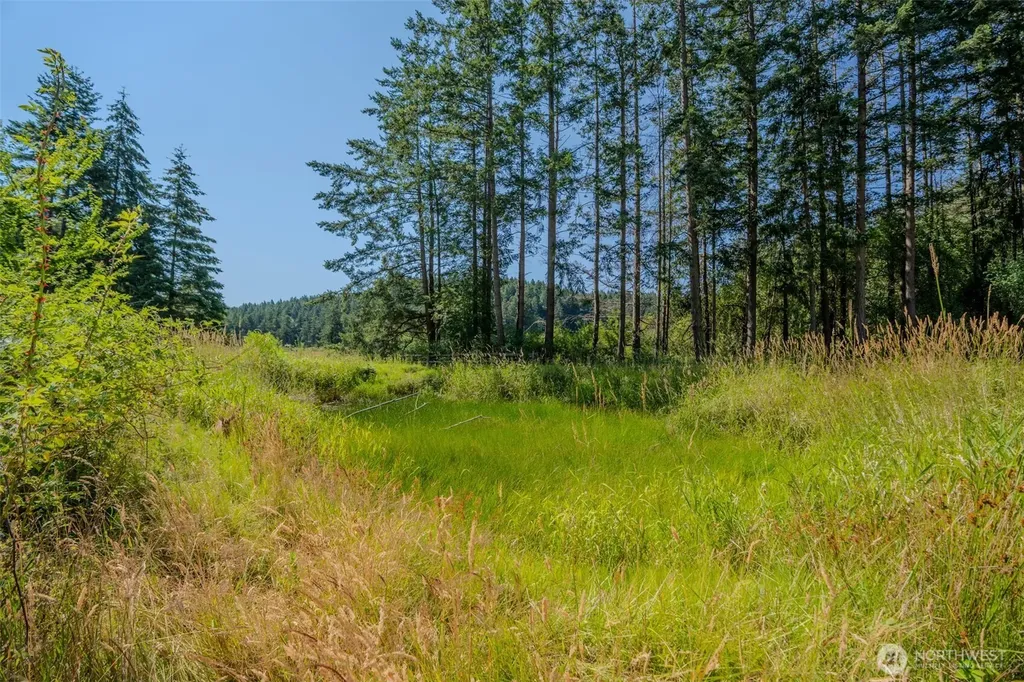 37 Silvermoon Lane Orcas Island WA 98280