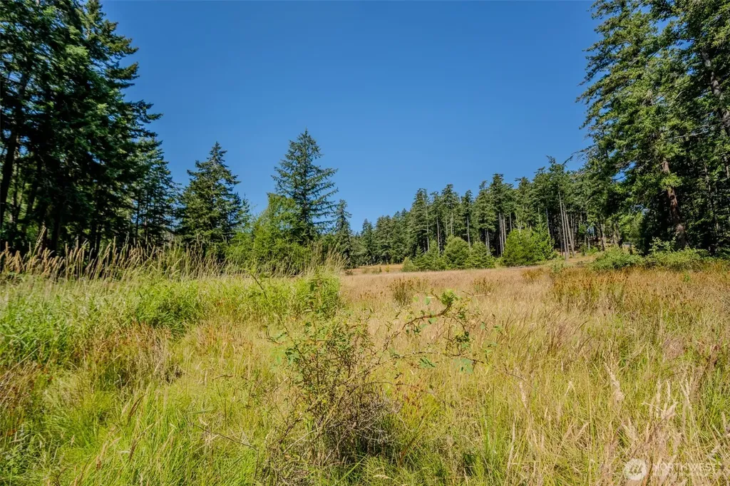 37 Silvermoon Lane Orcas Island WA 98280