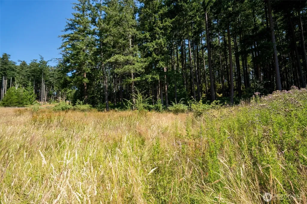 37 Silvermoon Lane Orcas Island WA 98280