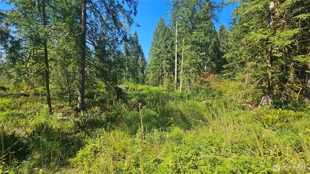 11000 138th Street NE Arlington WA 98223