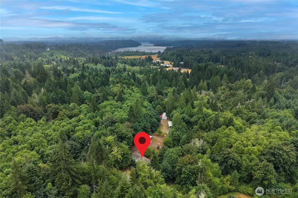 261 E Willow Blue Lane Shelton WA 98584