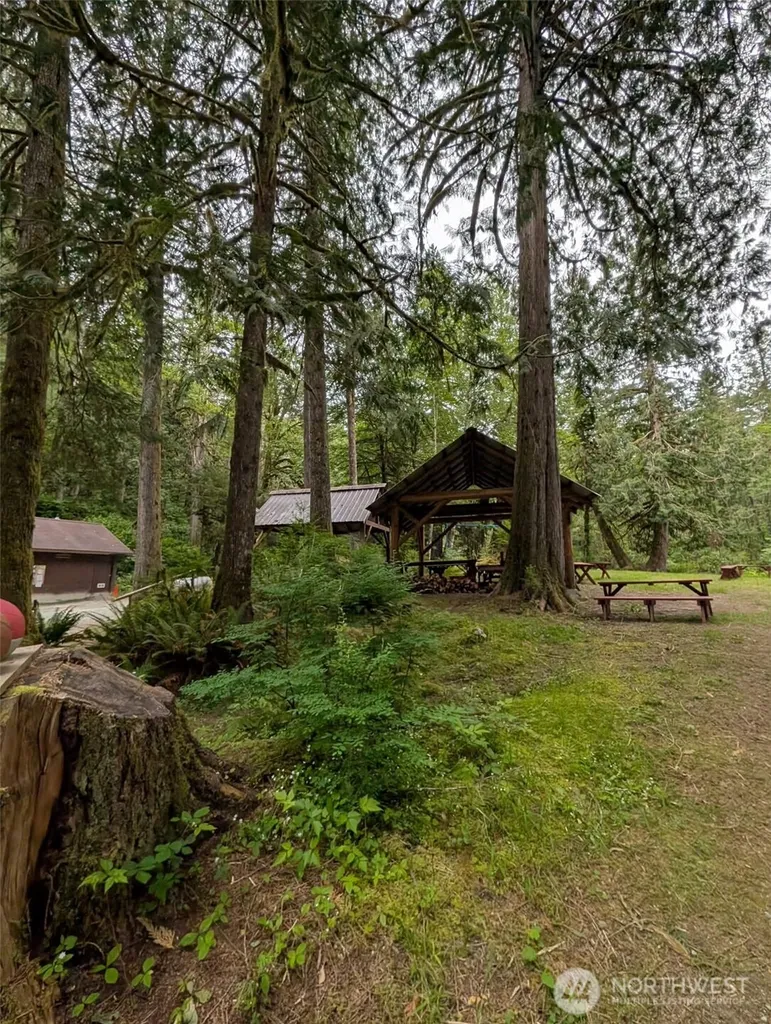 64314 Lookout Mountain Loop Marblemount WA 98267