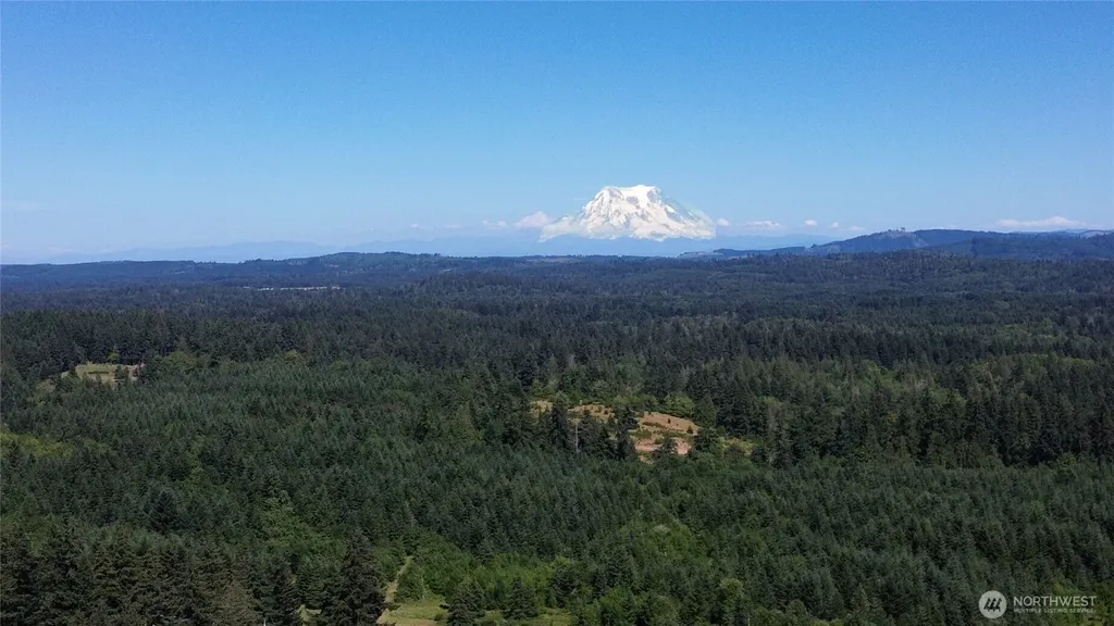 0 Peterson Road SW Tenino WA 98589